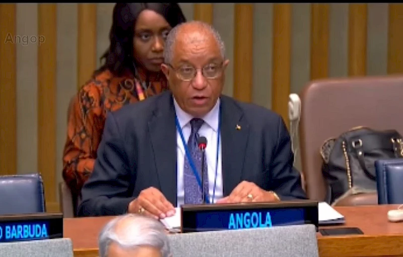 Representante de Angola na ONU, Francisco da Cruz