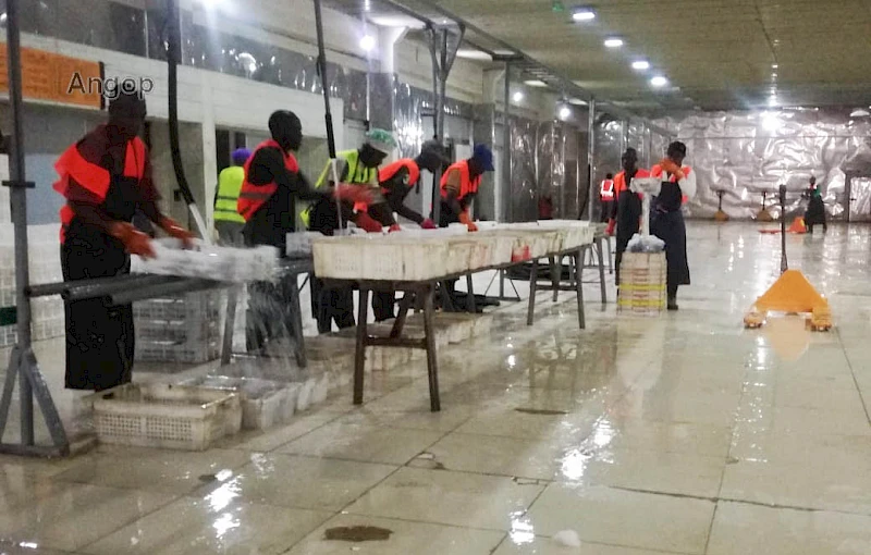 Ambiente de trabalho no centro IMULUNDO no Soyo, província do Zaire