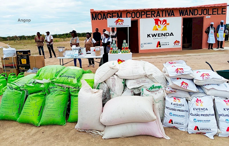 Inputs agrícolas entregues pelo Kwenda na Huíla