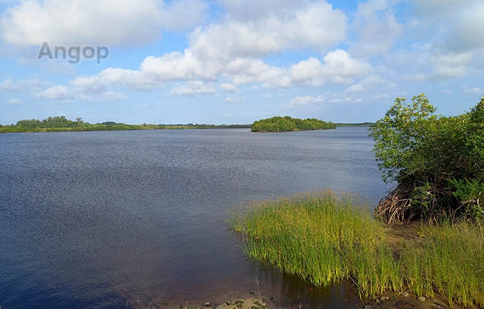 Margens do rio Zaire ou Rio Congo